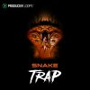 SnakeTrap-1000x1000.jpg