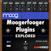 moog-moogerfooger-course.jpg