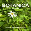 Botanica-1.jpg