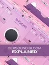 oeksound-bloom-Explained-XtTh-original.jpg