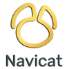 05.AboutUs_00_milestone_2021_Navicat.png