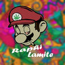 Raphi Lamite