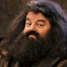 Hagrid78