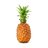 pouet22