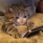 Bytwiz77