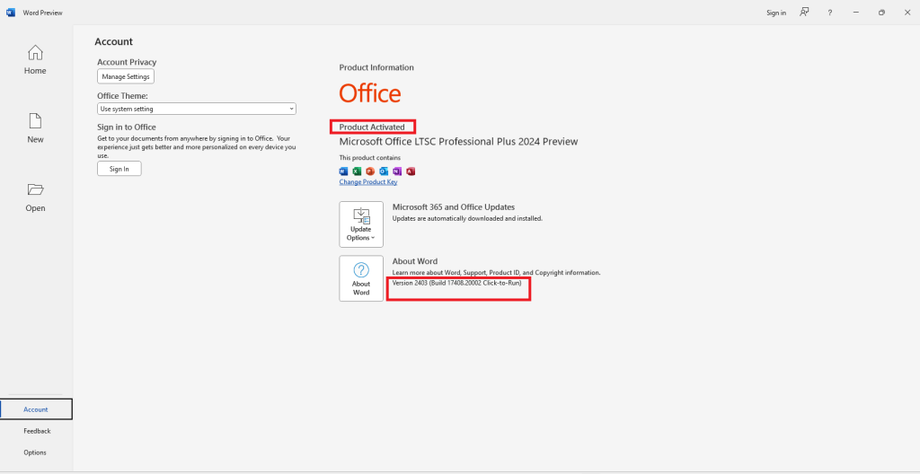 Microsoft Office 2024-1