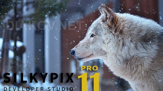 SILKYPIX Developer Studio Pro 11.0.7.0